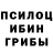 Галлюциногенные грибы MAGIC MUSHROOMS Anuar Kushkaliev