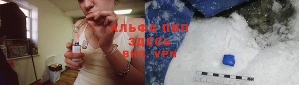 ПСИЛОЦИБИНОВЫЕ ГРИБЫ Абаза