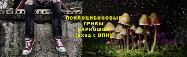 спиды Алексин